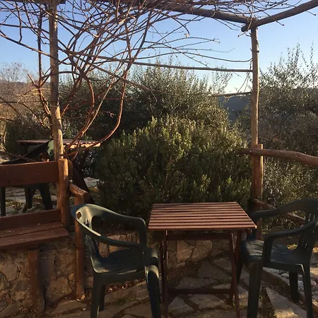 Joie De Vivre Bed & Breakfast