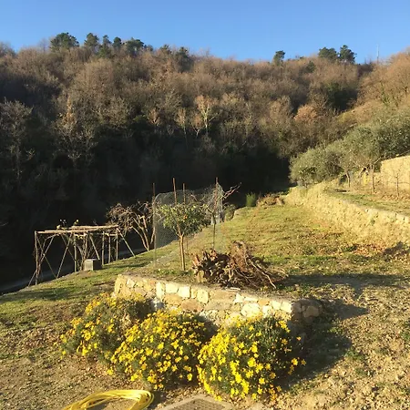 Joie De Vivre Calice Ligure