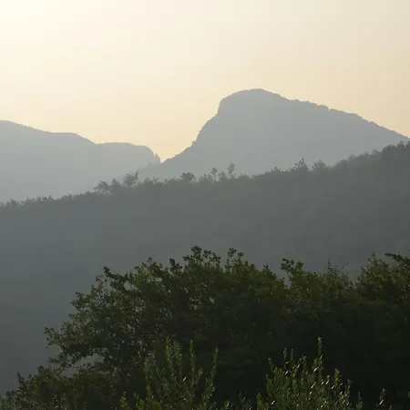 Joie De Vivre Frühstückspension