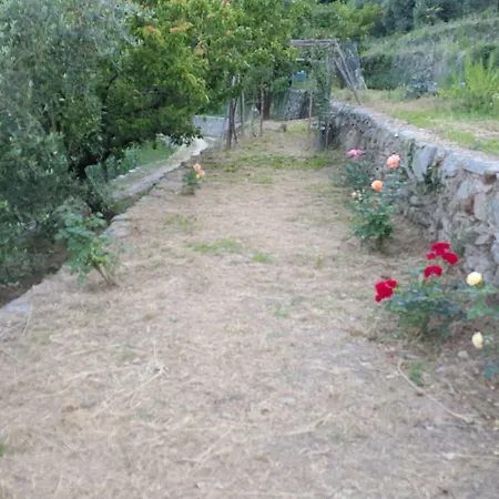 Joie De Vivre Bed & Breakfast 3*