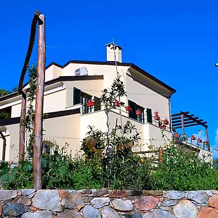 Joie De Vivre Oda ve Kahvaltı