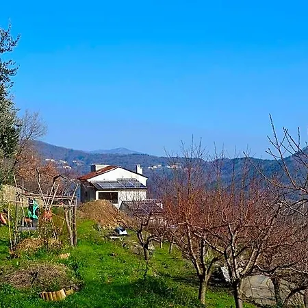 Joie De Vivre Oda ve Kahvaltı