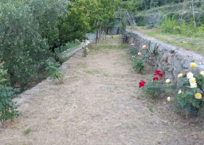 Joie De Vivre Bed & Breakfast 3*