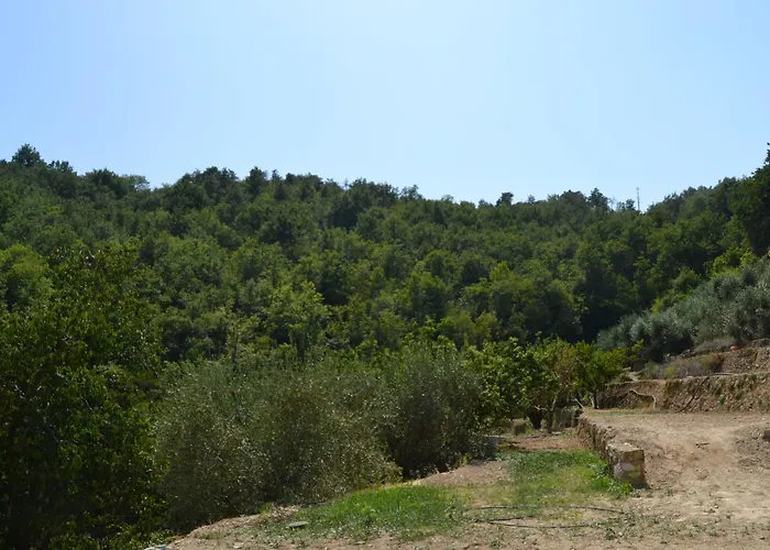 Joie De Vivre Bed & Breakfast 3*